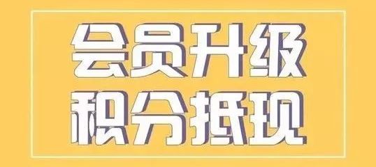 信用卡积分兑现金，日收入上千